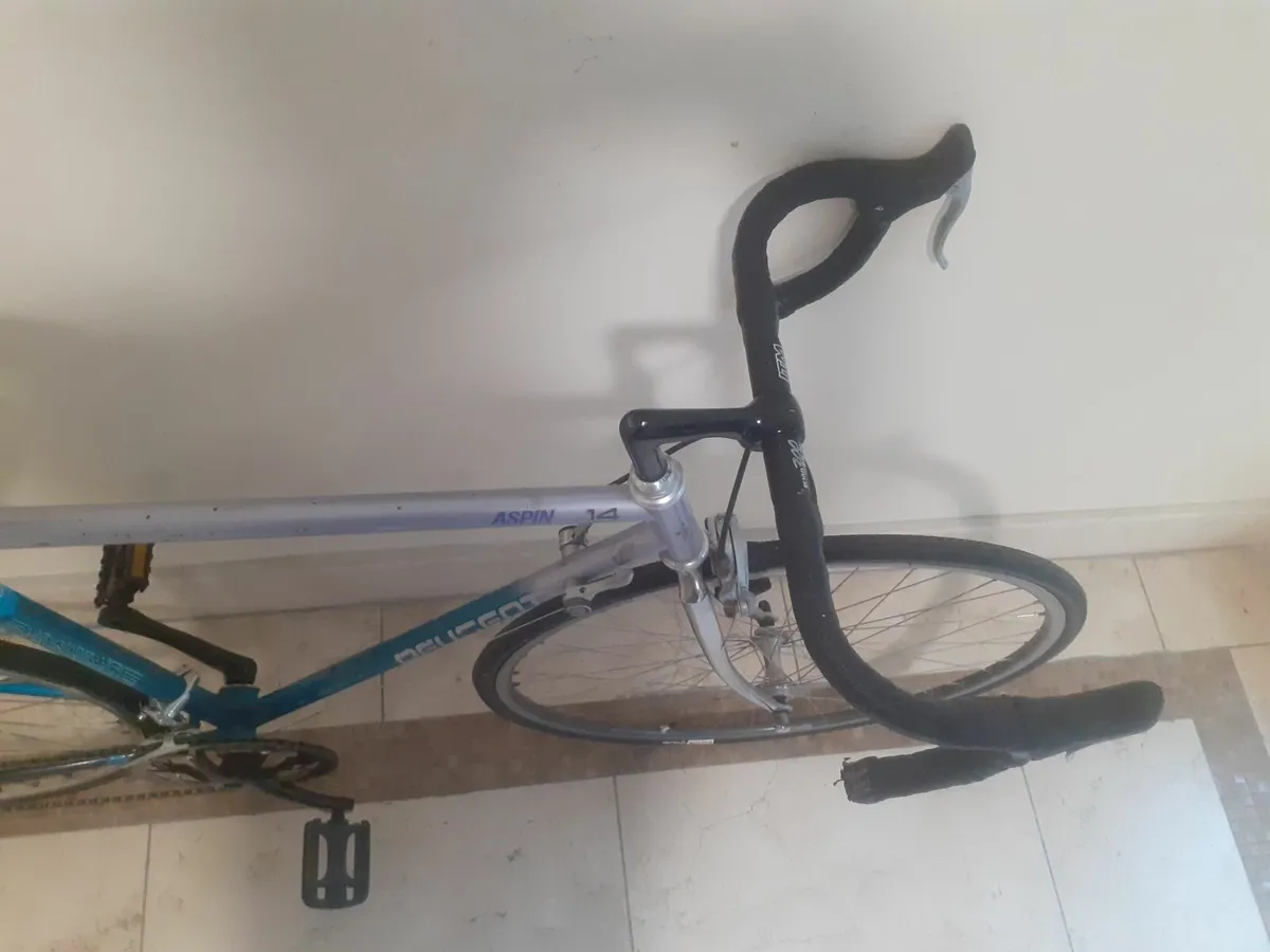 Peugeot Aspin racer - Image 3