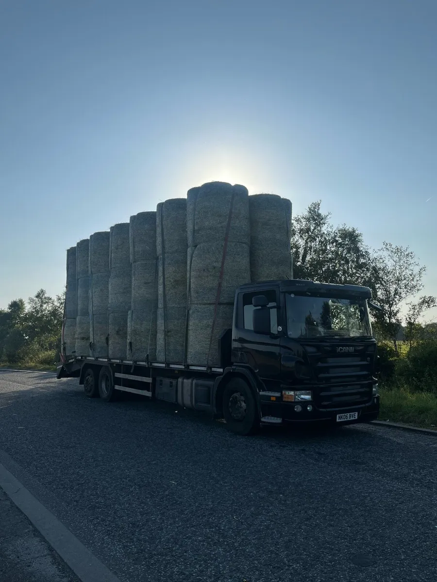 Hay for sale - Image 1