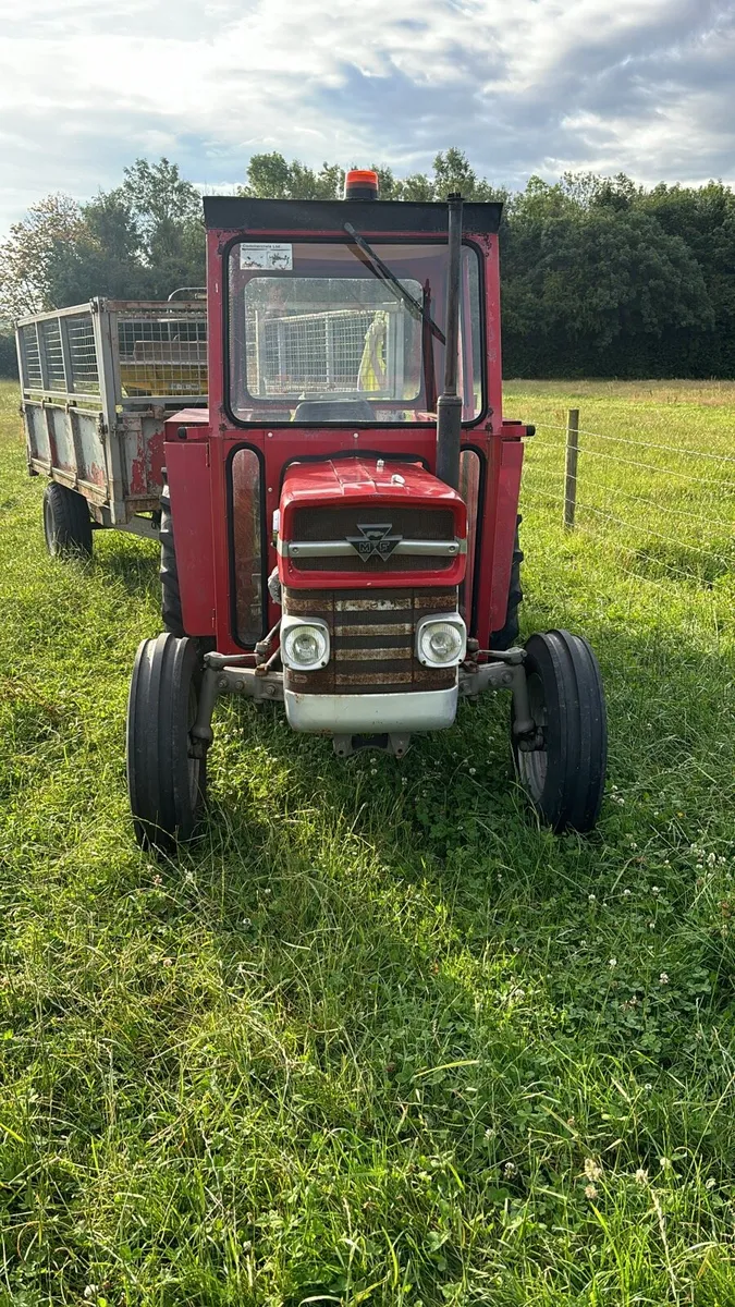 Mf 135 - Image 2