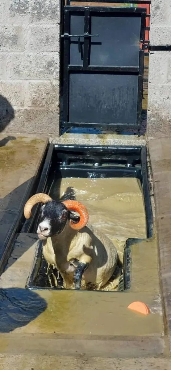 Sheep Dip Tanks - Plastic - Image 1