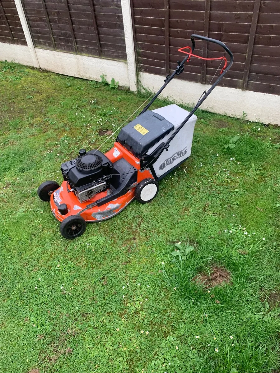 Lawnmower - Image 1