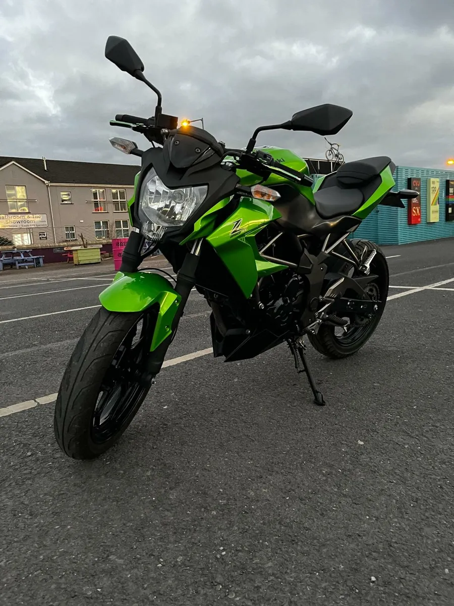 Kawasaki Z250SL 2018/14,700 km - Image 1