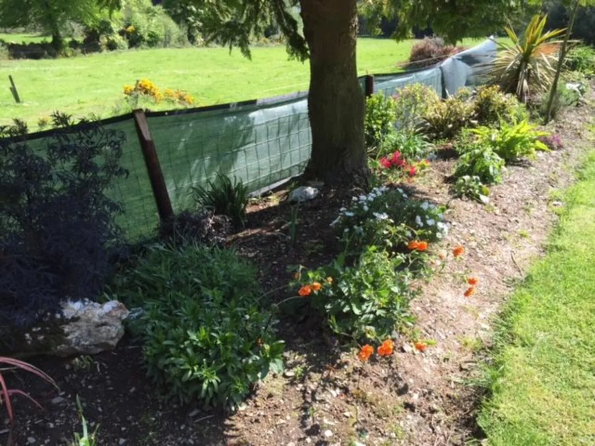 Landscaping Screening - Image 4