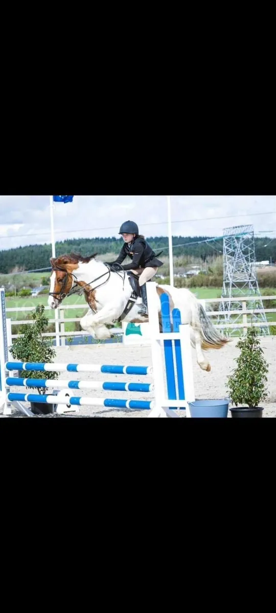 12.2 11yr old mate - Image 1