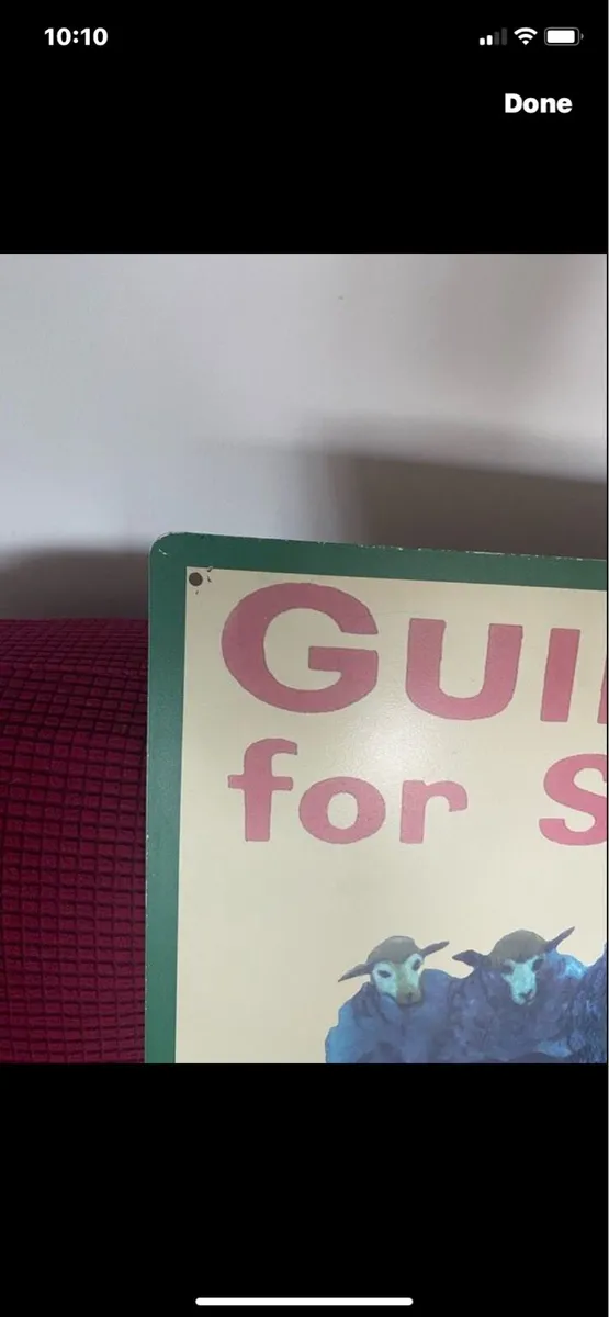 Large Vintage Guinness Metal Sign - Image 4