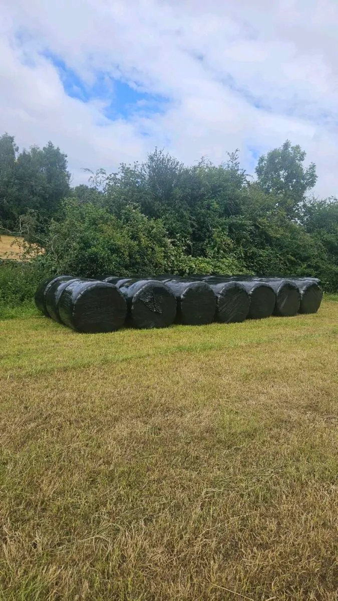 Round Bales Silage Monaghan/Cavan