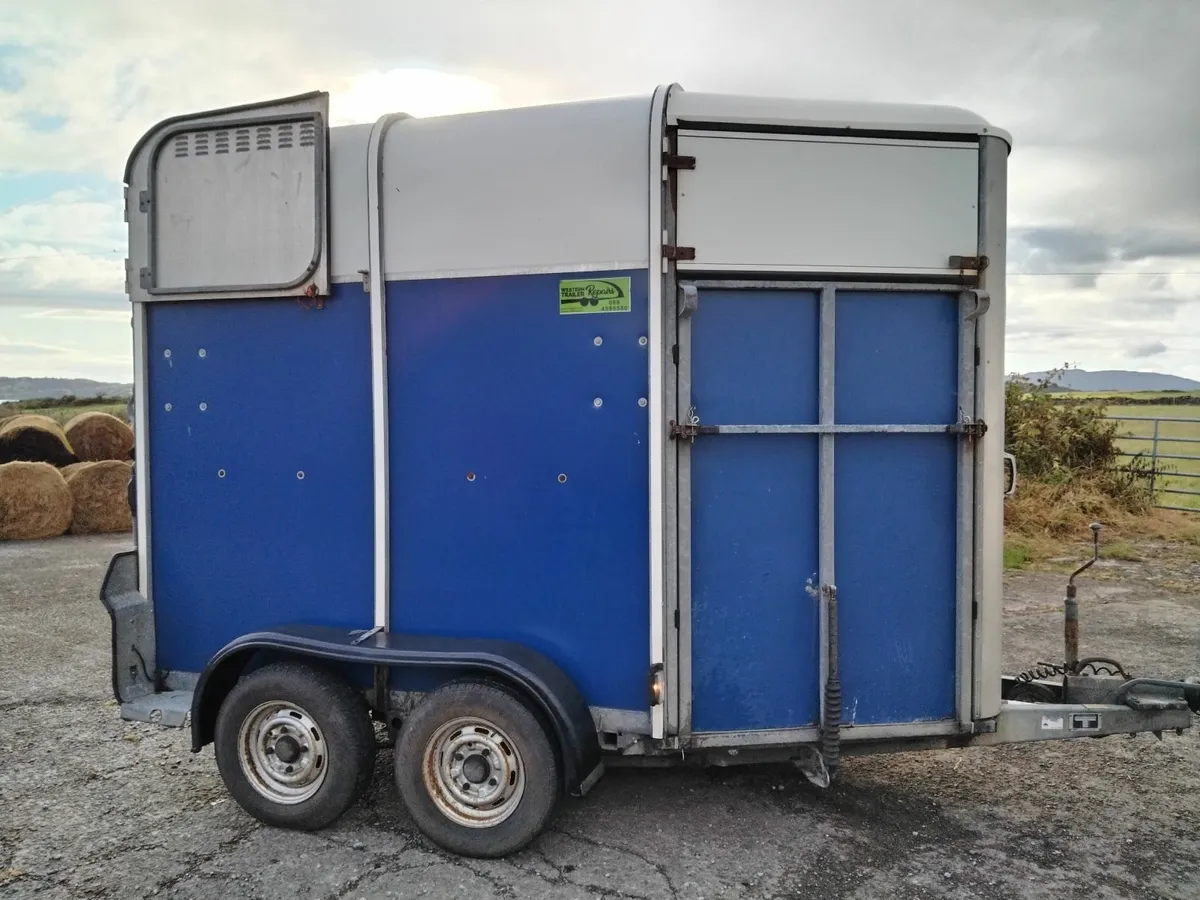 IW 505 HORSEBOX - Image 1