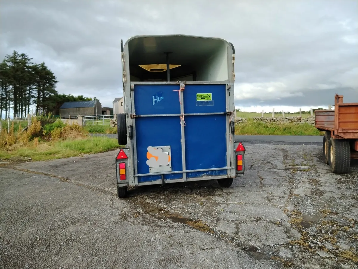IW 505 HORSEBOX - Image 2