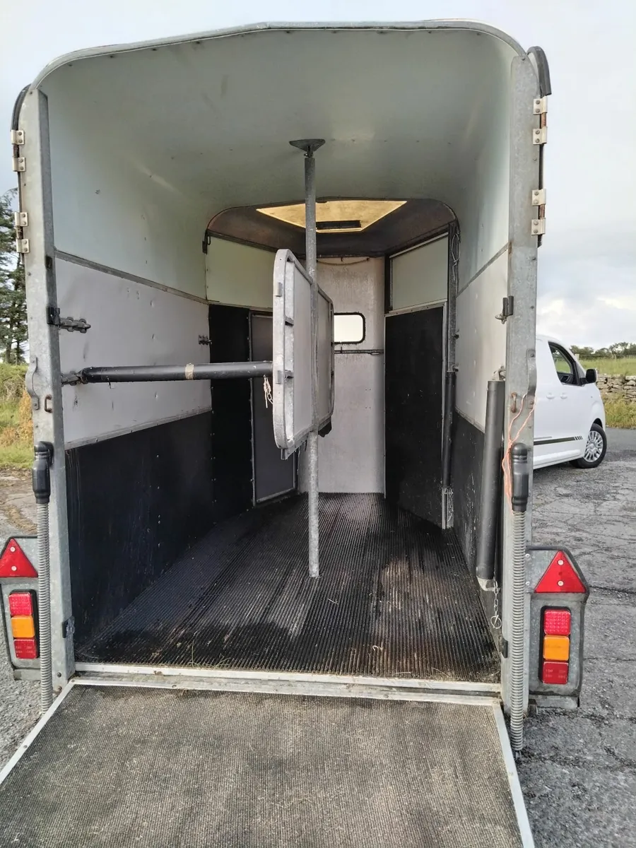 Ifor Williams 505 HORSEBOX - Image 3