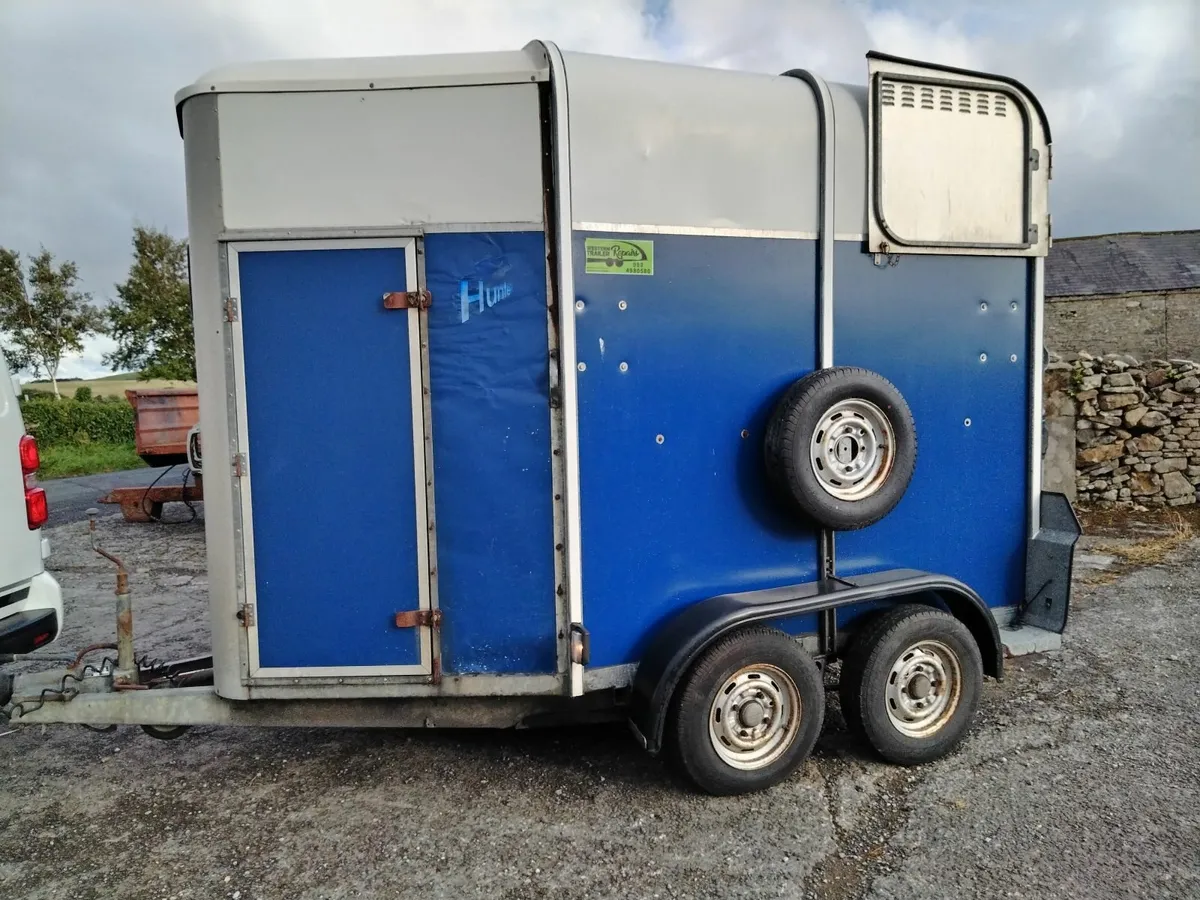 IW 505 HORSEBOX - Image 4