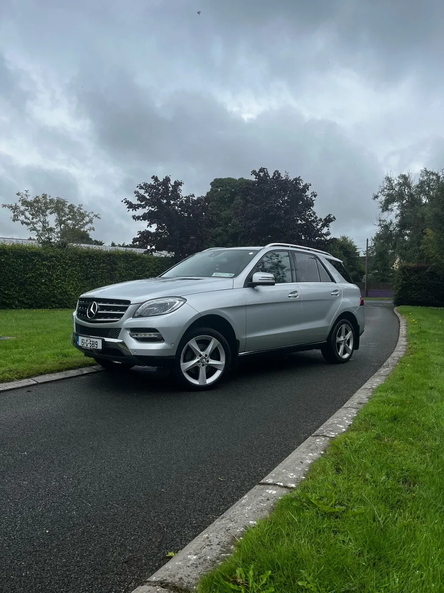 Mercedes ML250 - Image 2