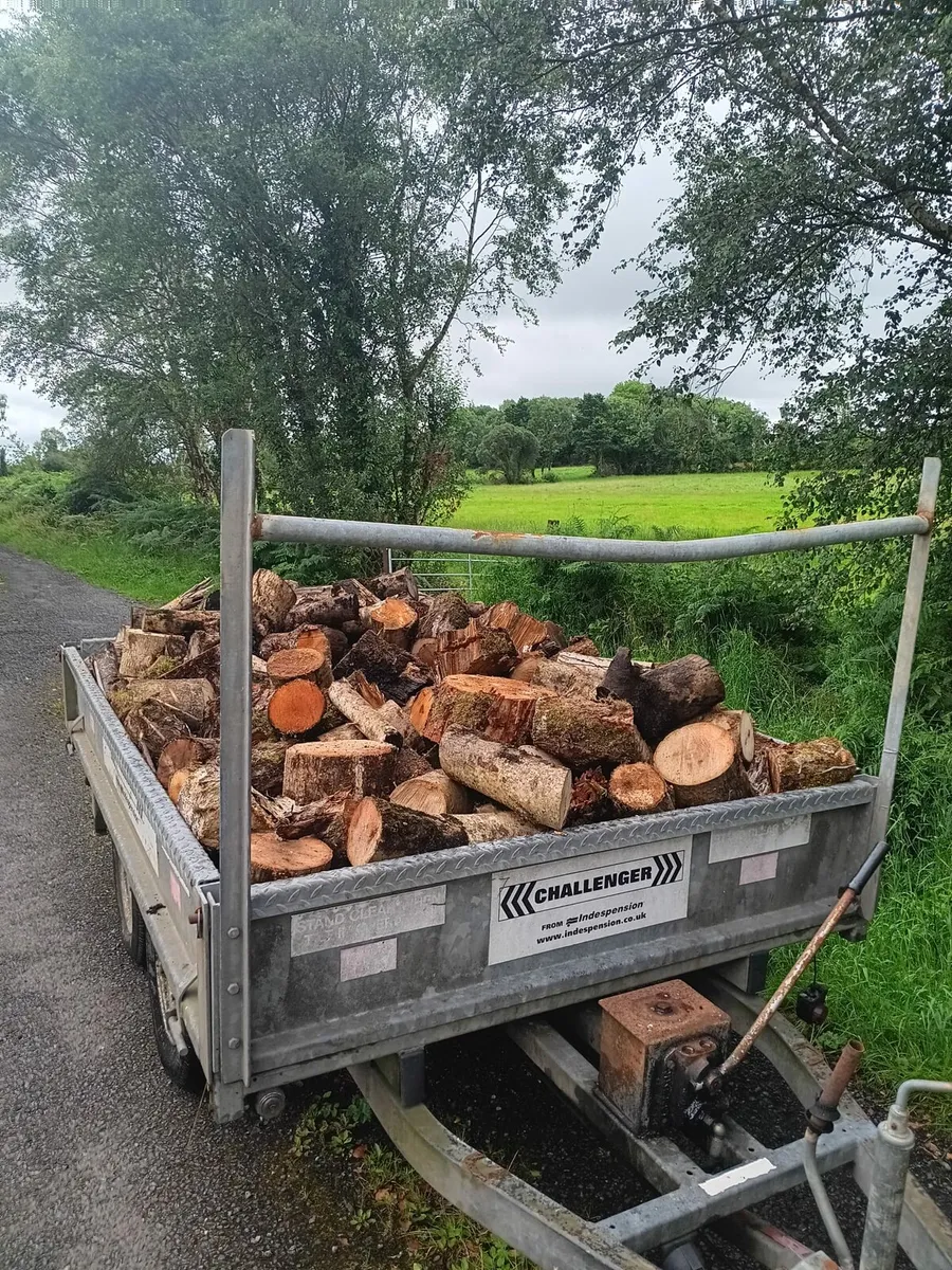 Firewood - Image 2