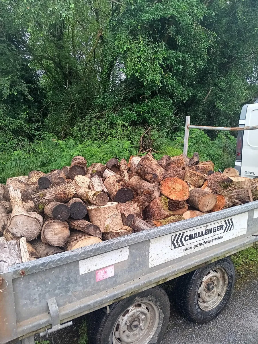 Firewood - Image 1