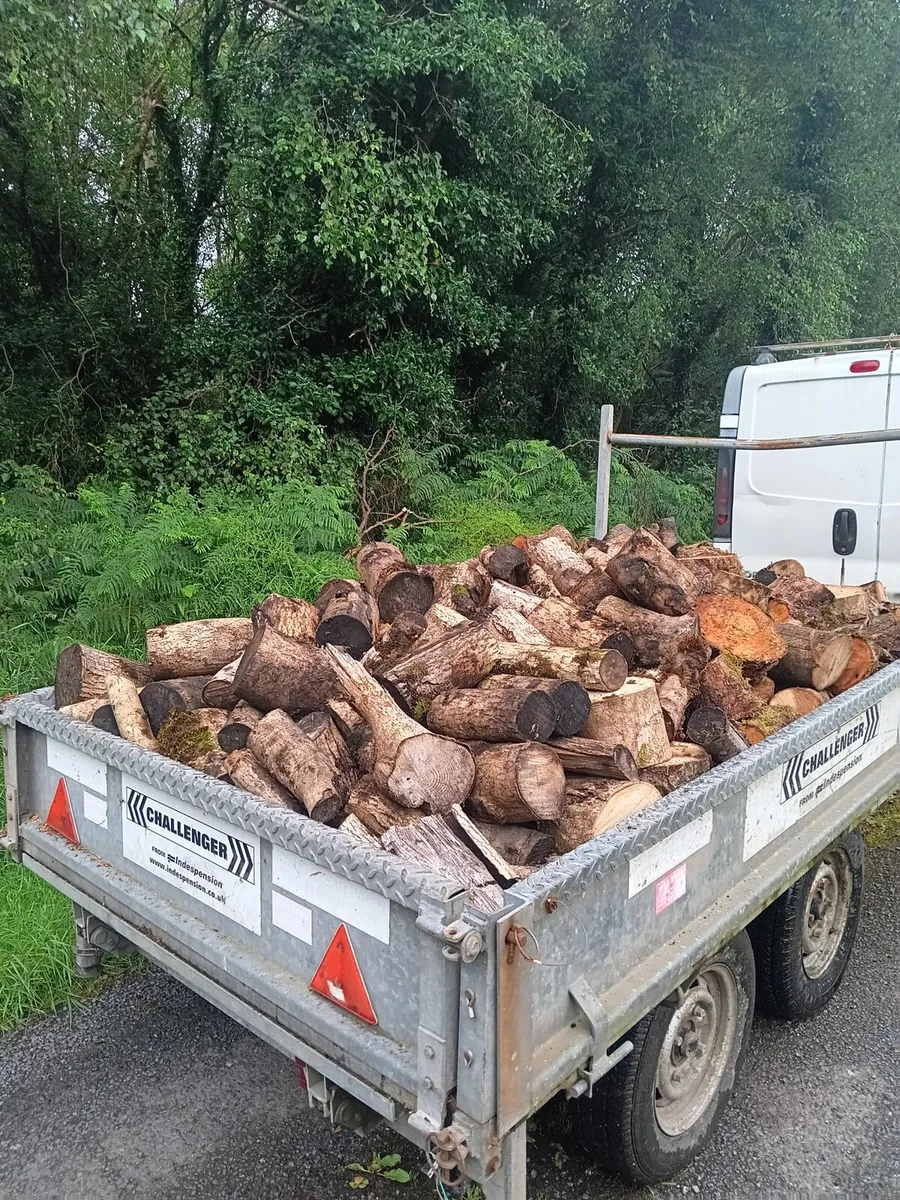 Firewood - Image 3