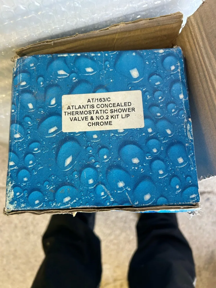 Atlantis Concealed Thermostatic shower - Image 2