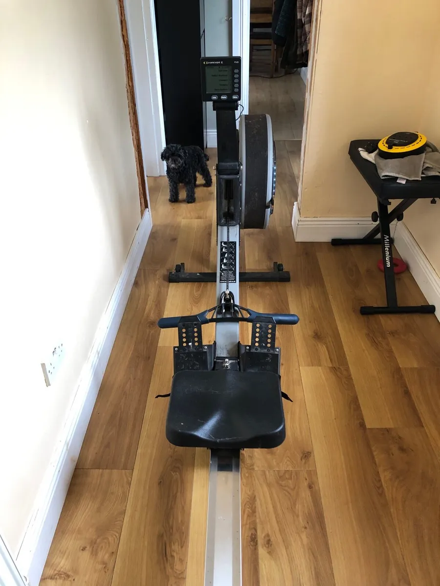 Concept2 rowing machine - Image 3