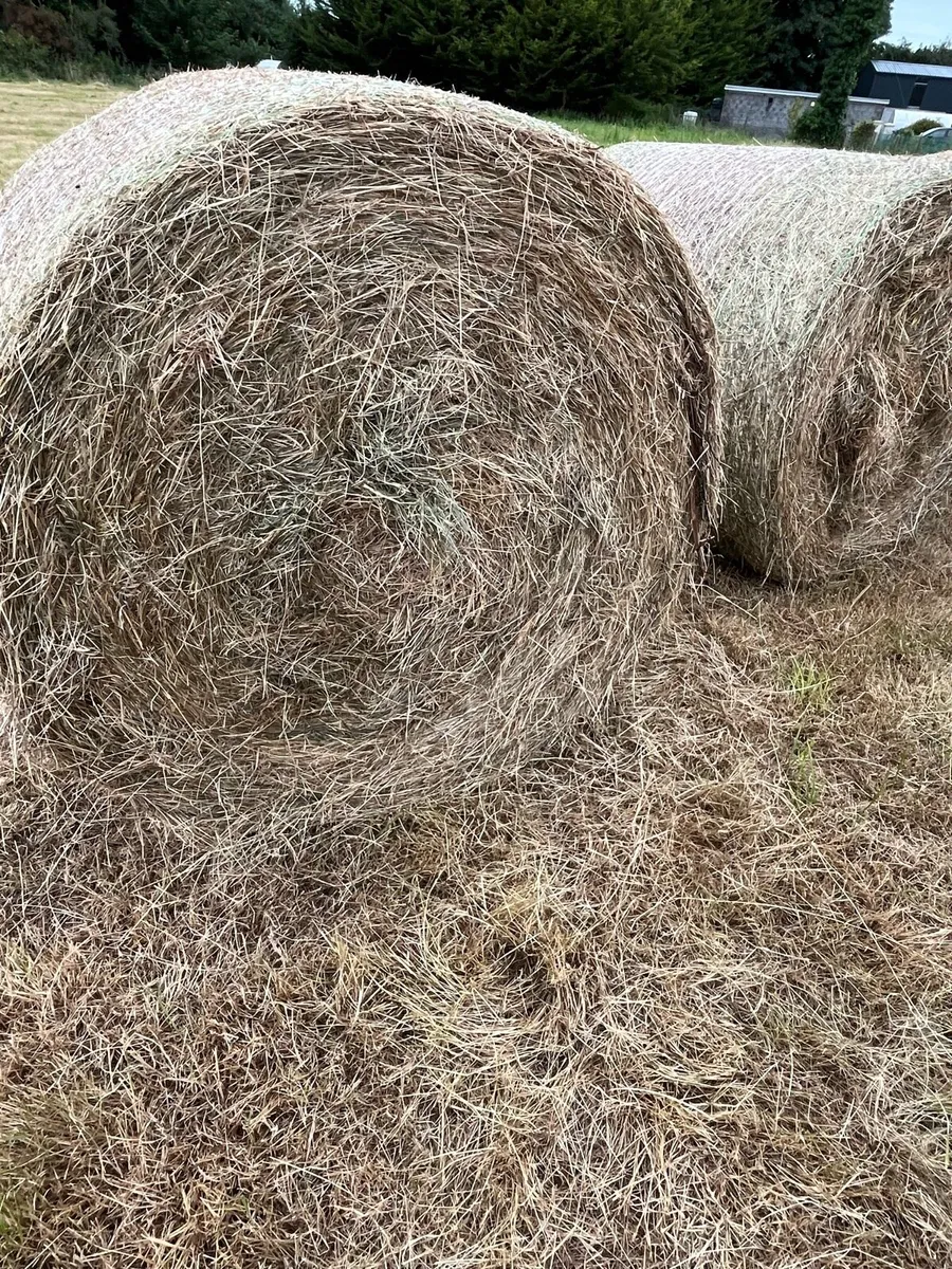 Hay for sale