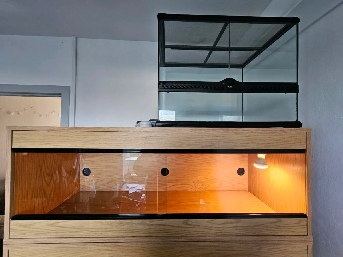 Vivarium / Tank - Image 1