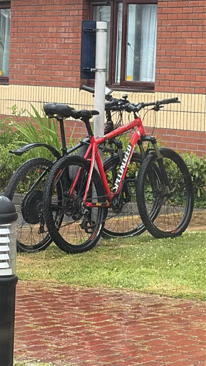 Specialized bike Large frame