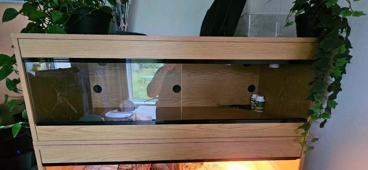 Vivarium / Tank - Image 2