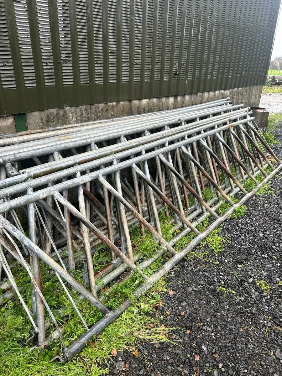 Cattle feed Barriers - Image 1