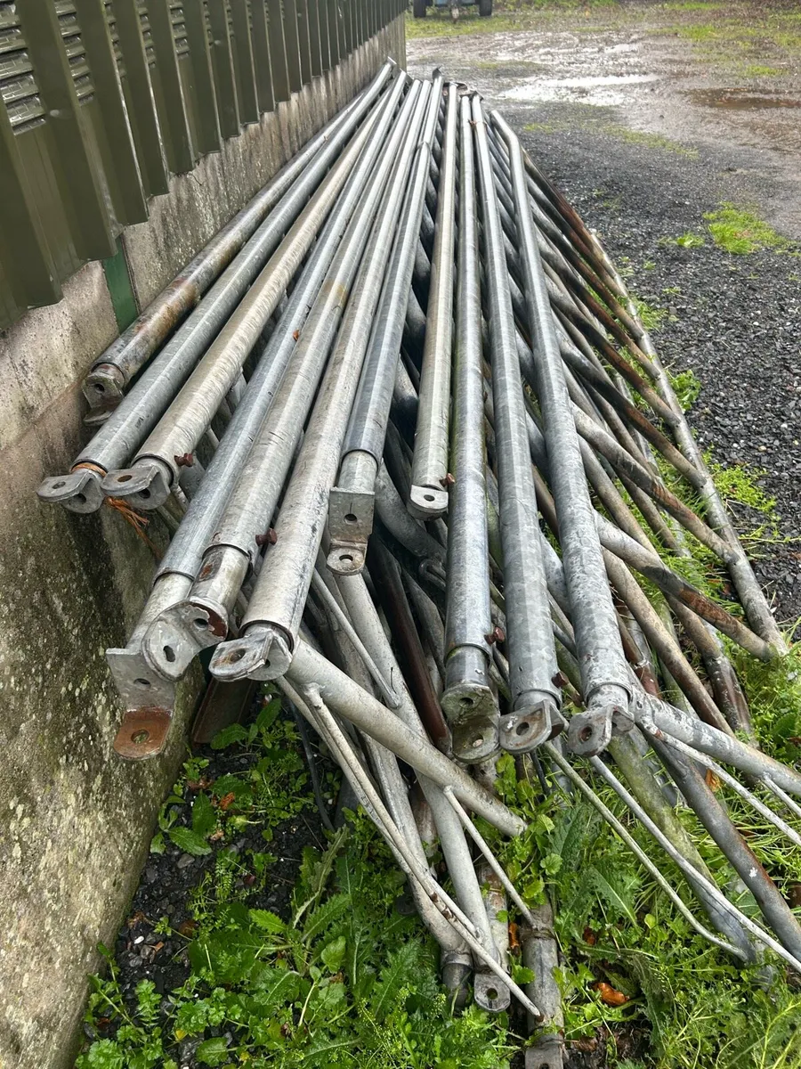 Cattle feed Barriers - Image 2