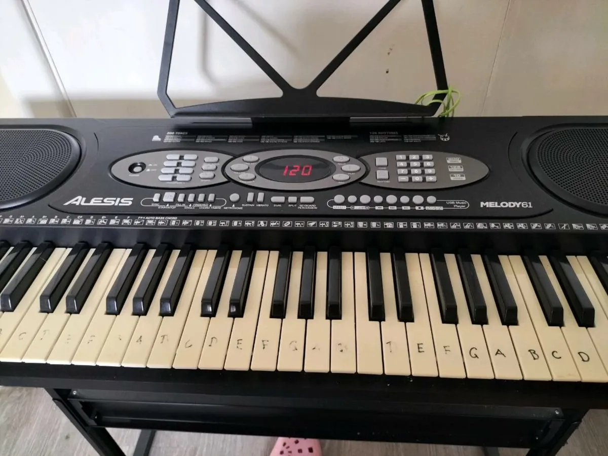 Piano keyboard - Image 1