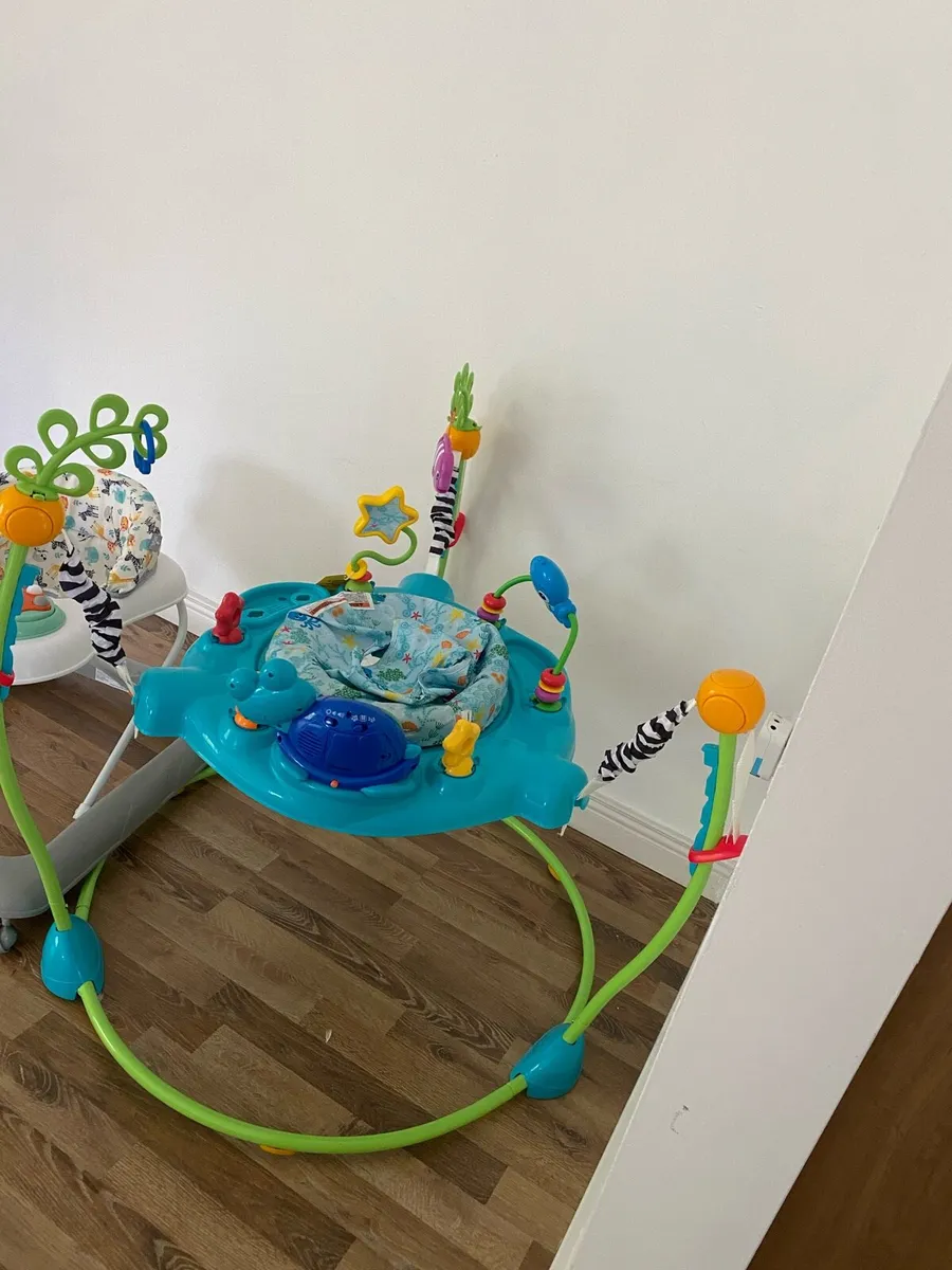 Baby Einstein jumperoo/bouncer jumper - Image 2