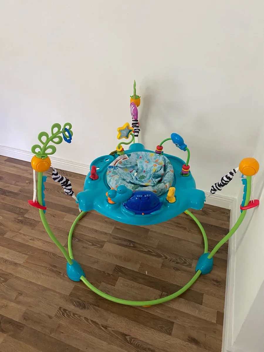 Baby Einstein jumperoo/bouncer jumper - Image 1