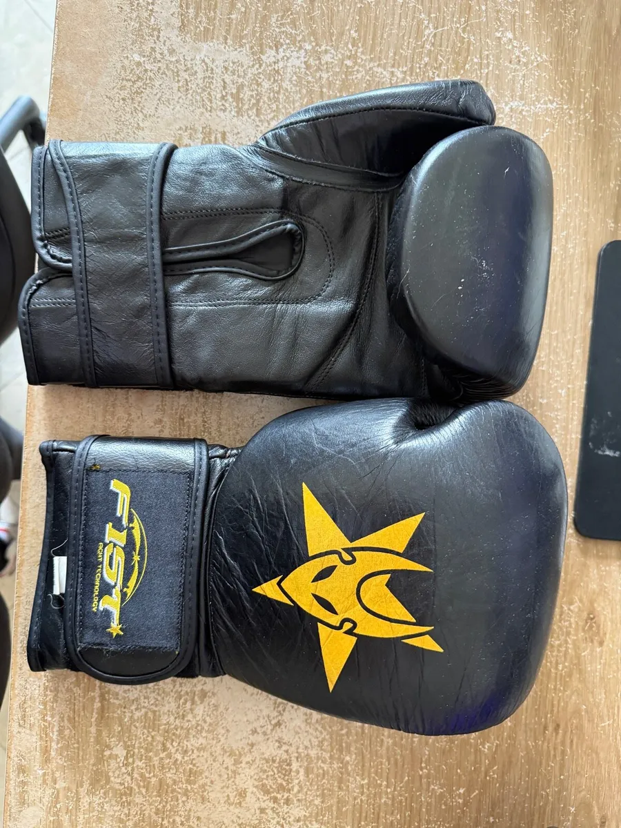 Boxing gloves
