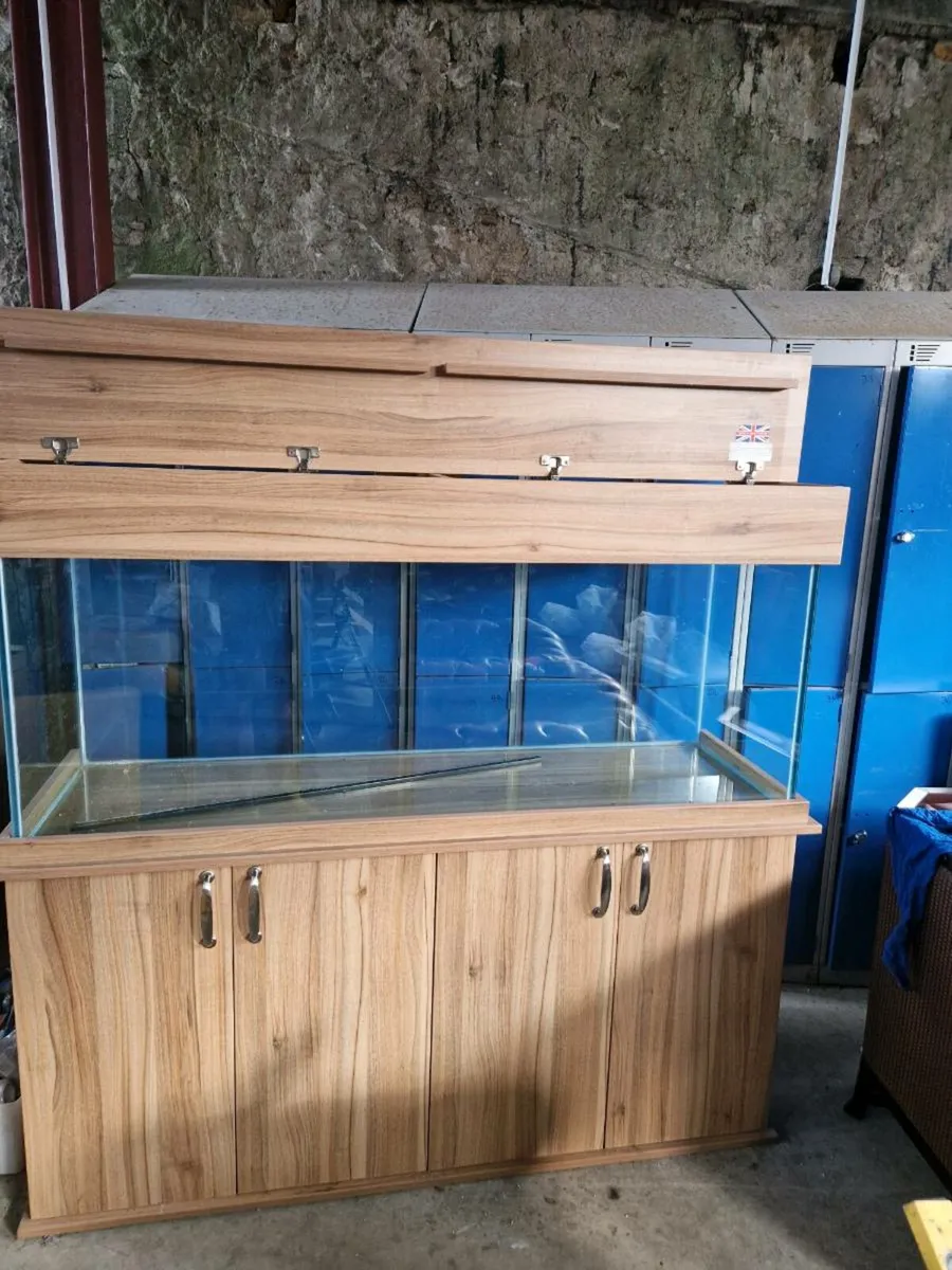 Fish tank 5ft - Image 1