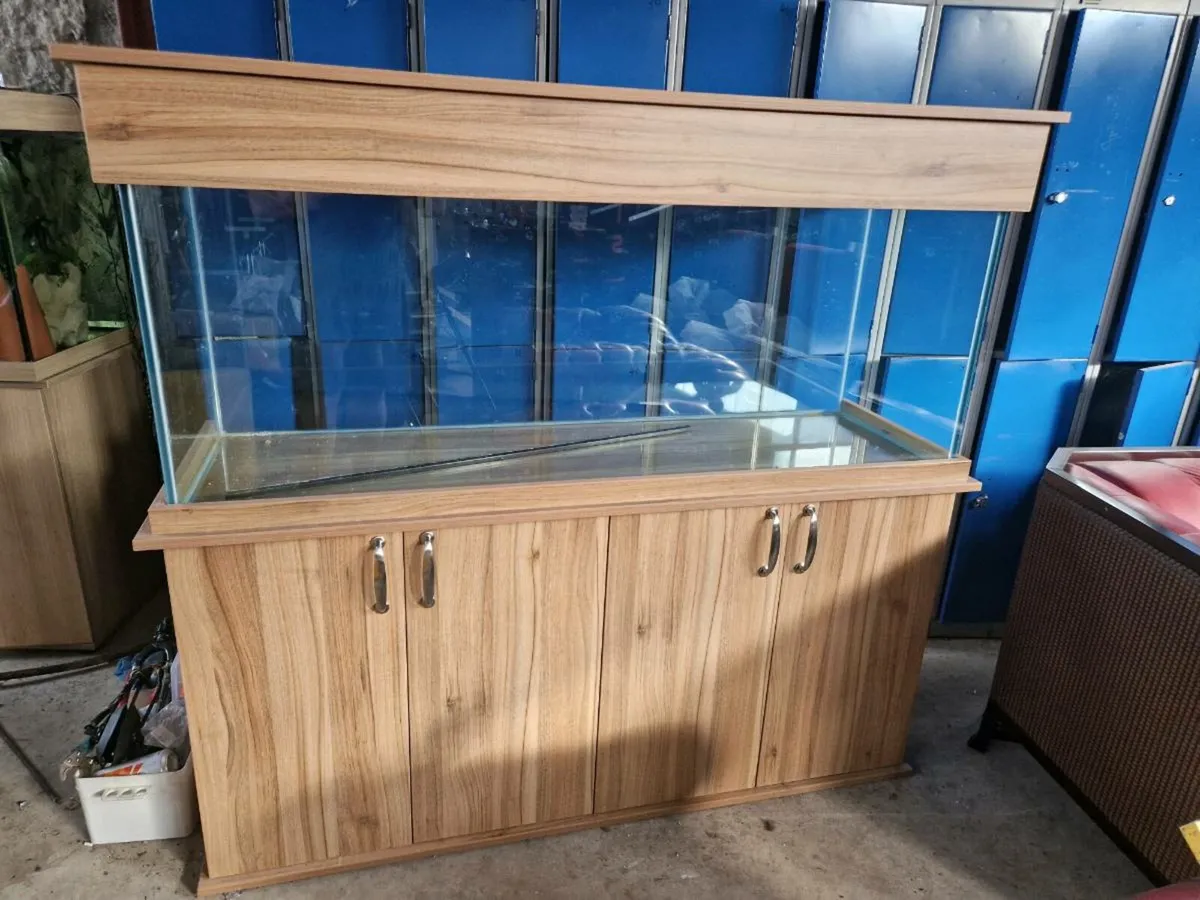 Fish tank 5ft - Image 2