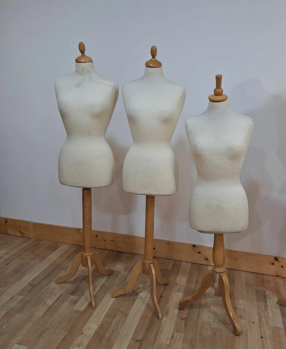 Ladies Fashion Mannequins - Image 1