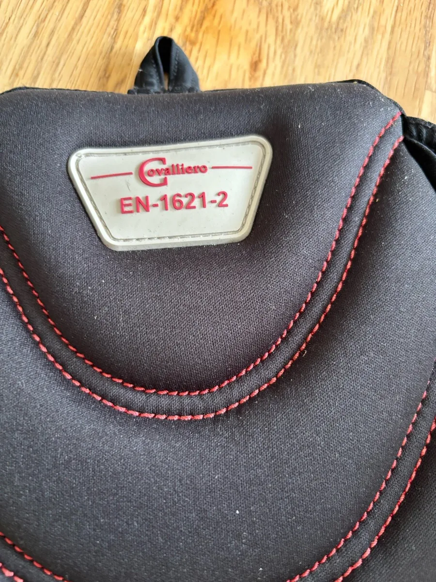 Motorcycle or Sport back protector - Image 2
