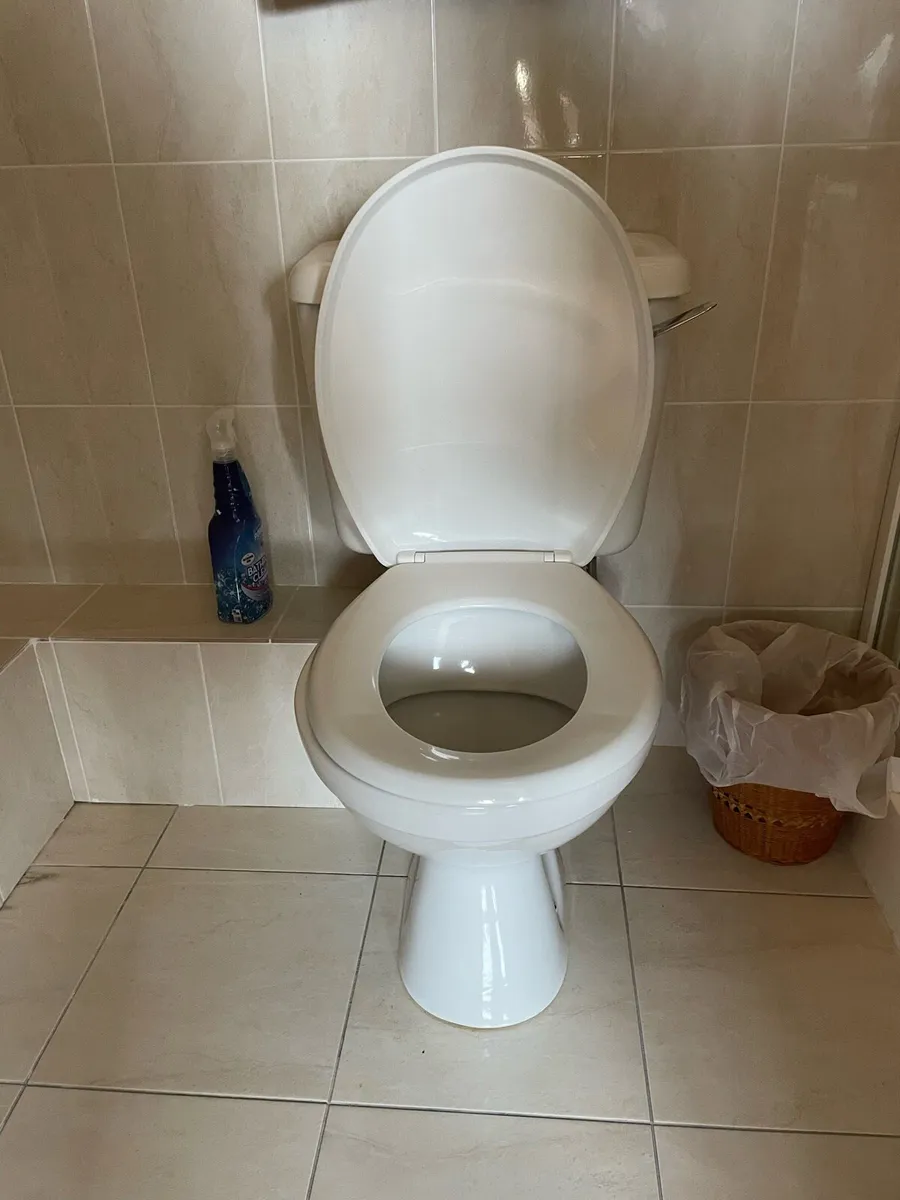 Toilet & hand washing basin - Image 2