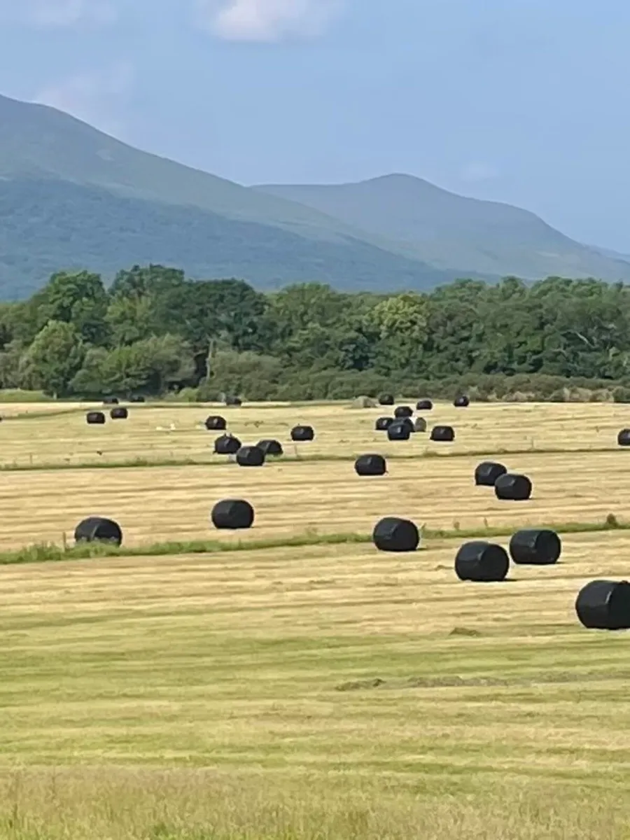 Bales For Sale - Killarney