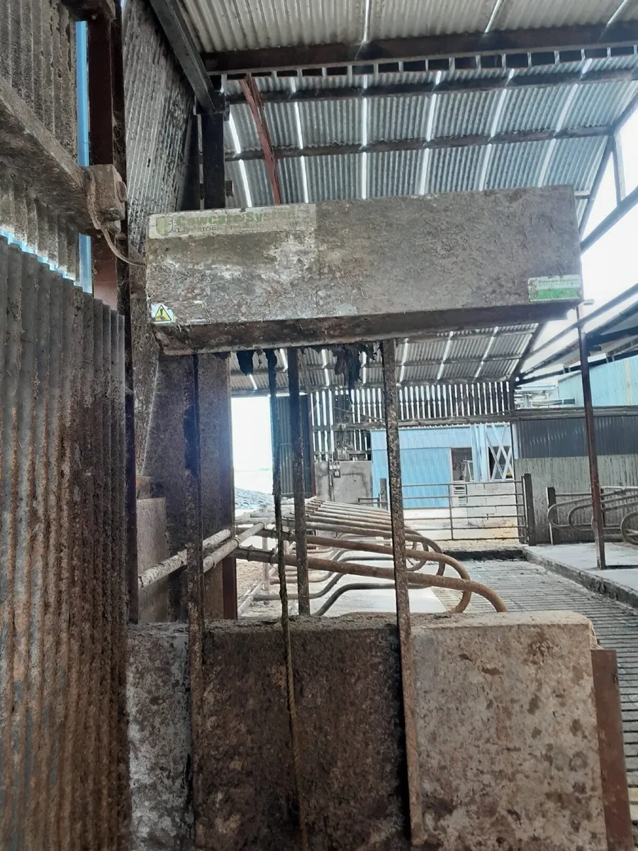 Automatic Rope scraper - Image 3