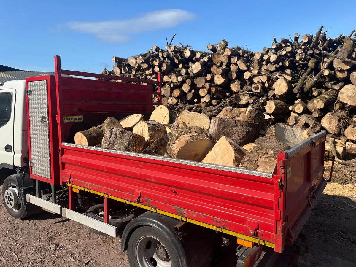 Firewood - Image 4