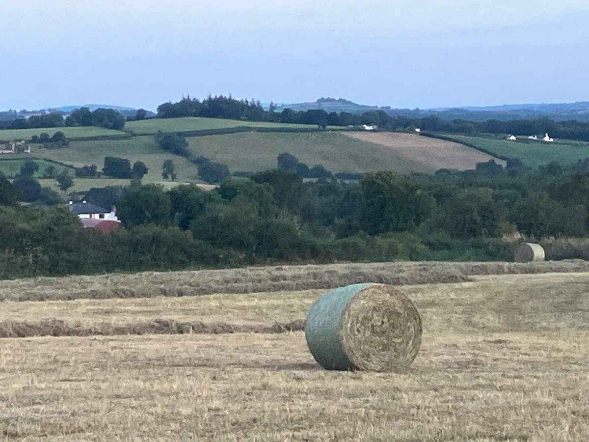 Round Bales of Hay - Image 2