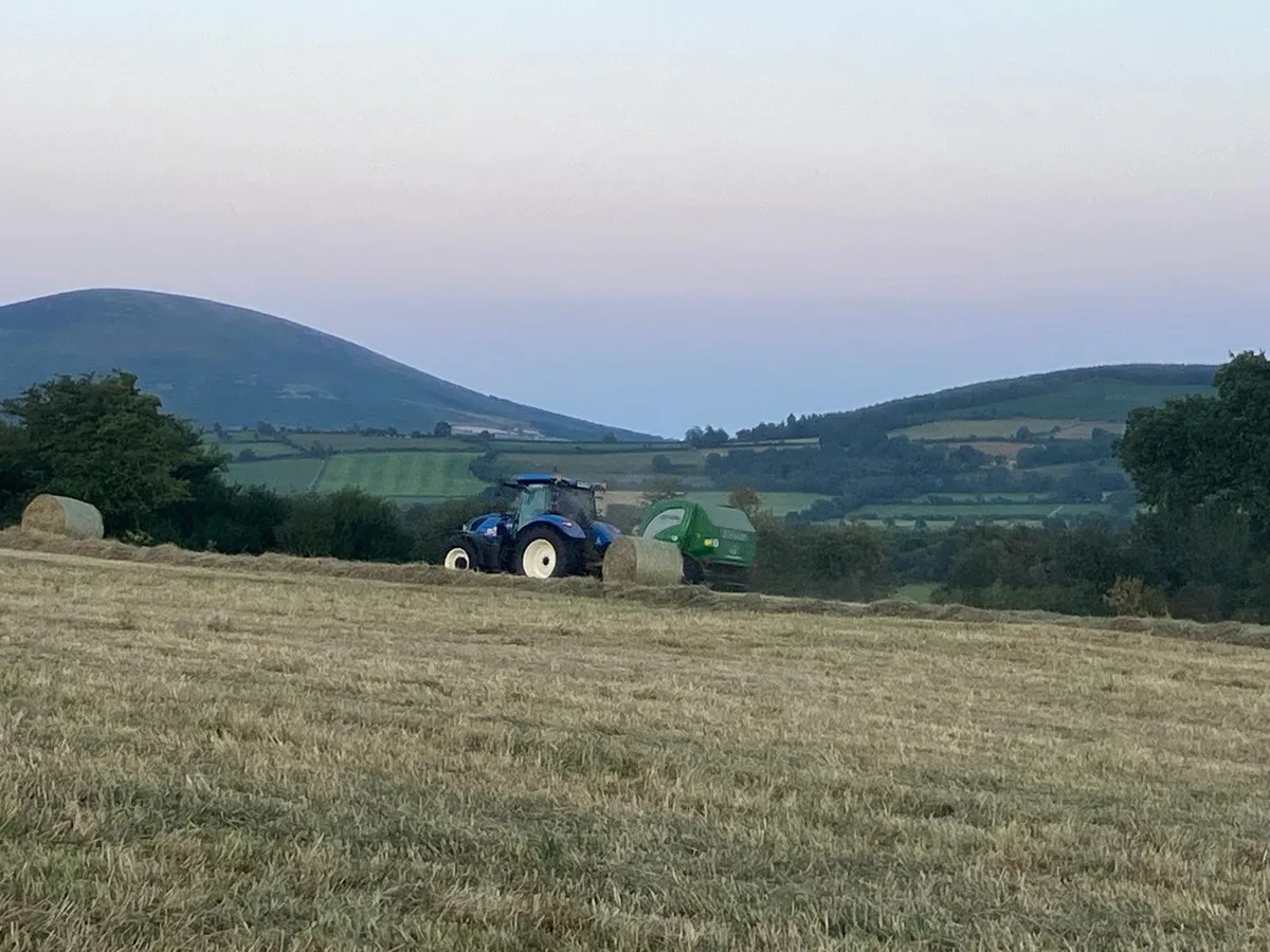 Round Bales of Hay - Image 1