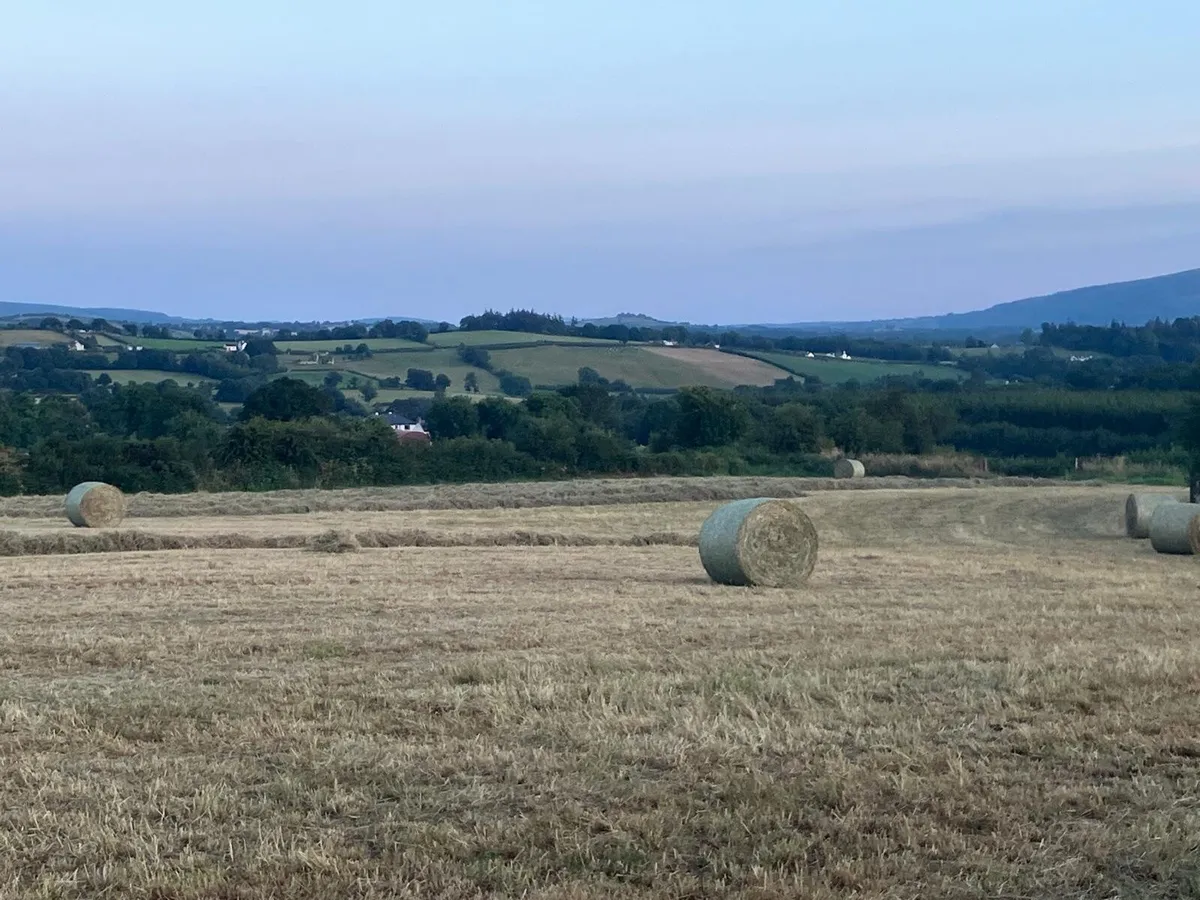 Round Bales of Hay - Image 3