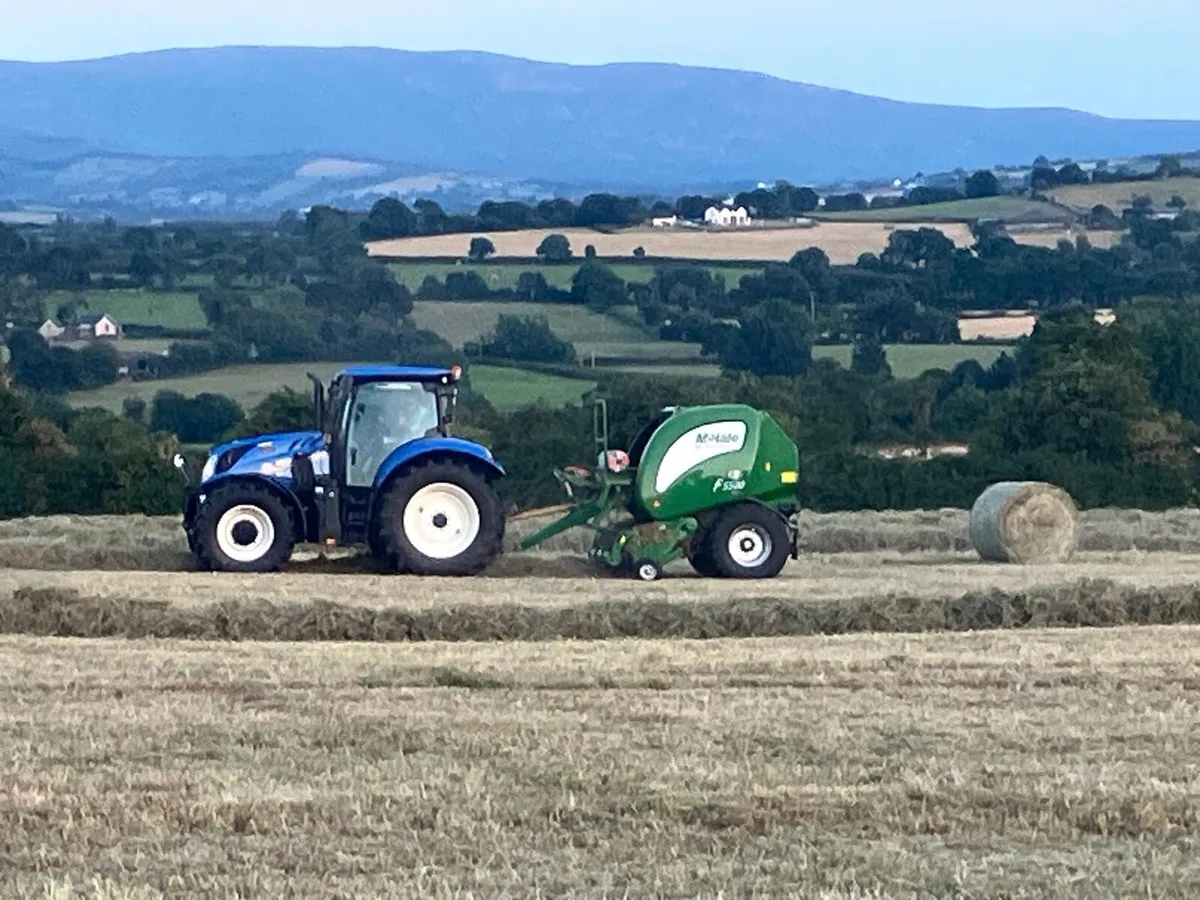 Round Bales of Hay - Image 4