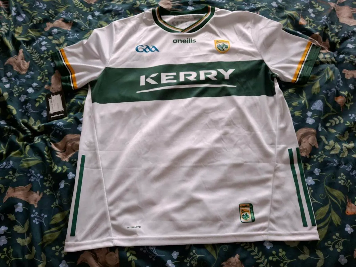 Kerry Gk jersey - Image 1