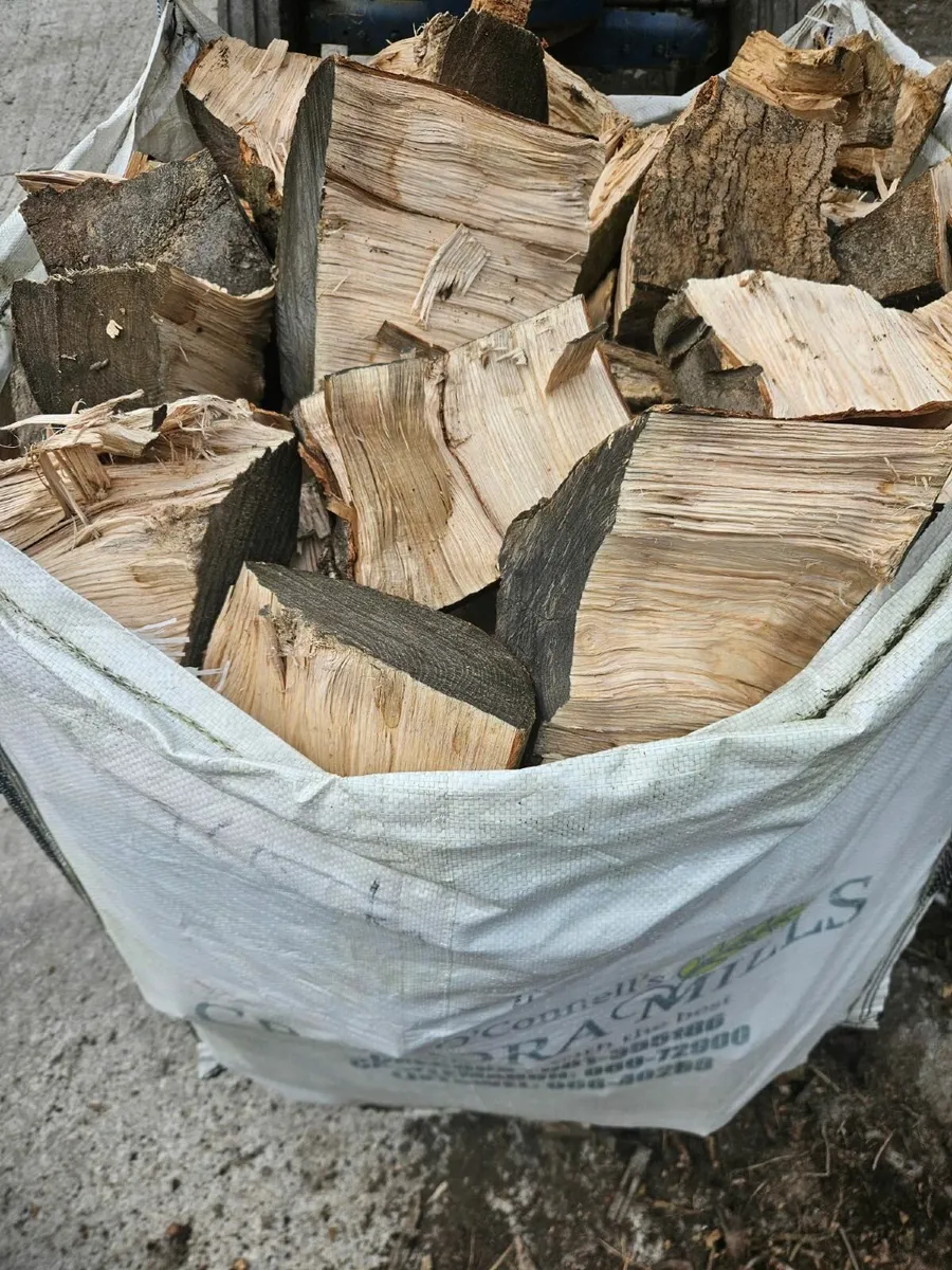Firewood - blocks Ash - Image 3
