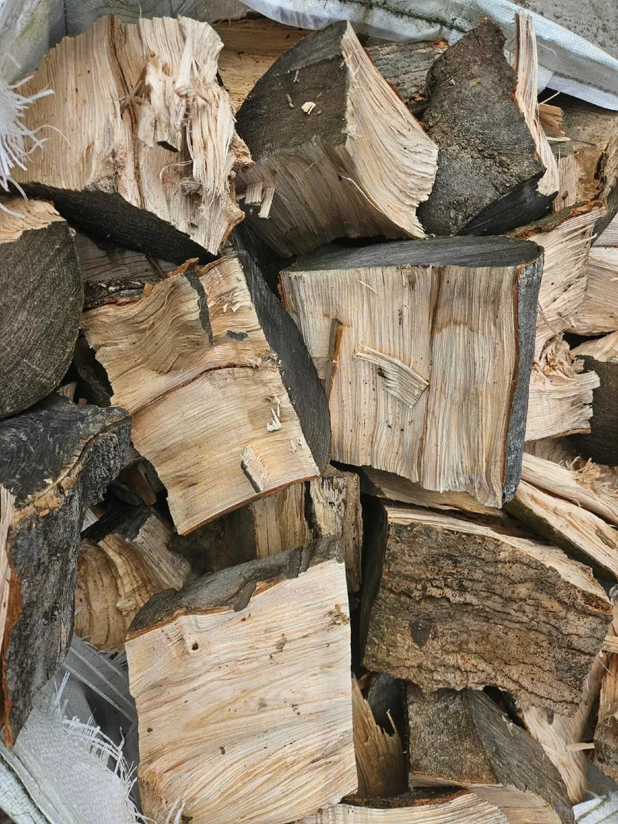 Firewood - blocks Ash - Image 4