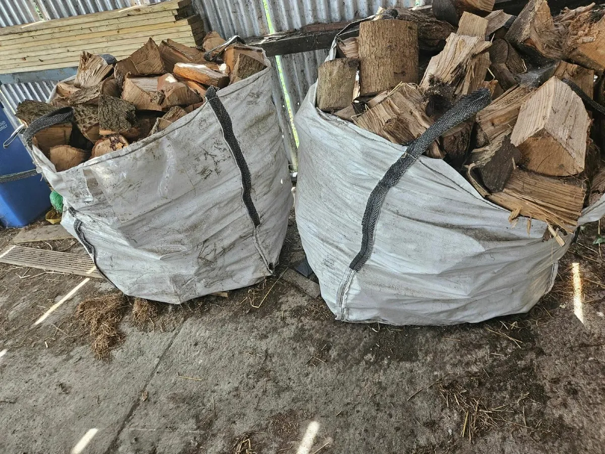 Firewood - blocks Ash - Image 1