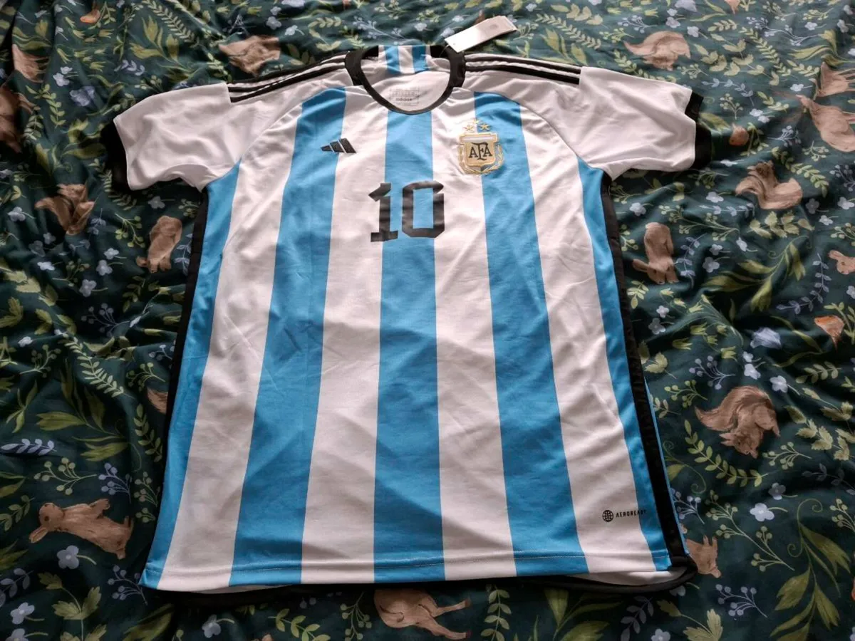 Lionel Messi Argentina jersey - Image 1