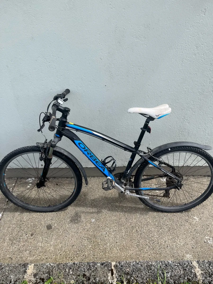 Bike - Image 1