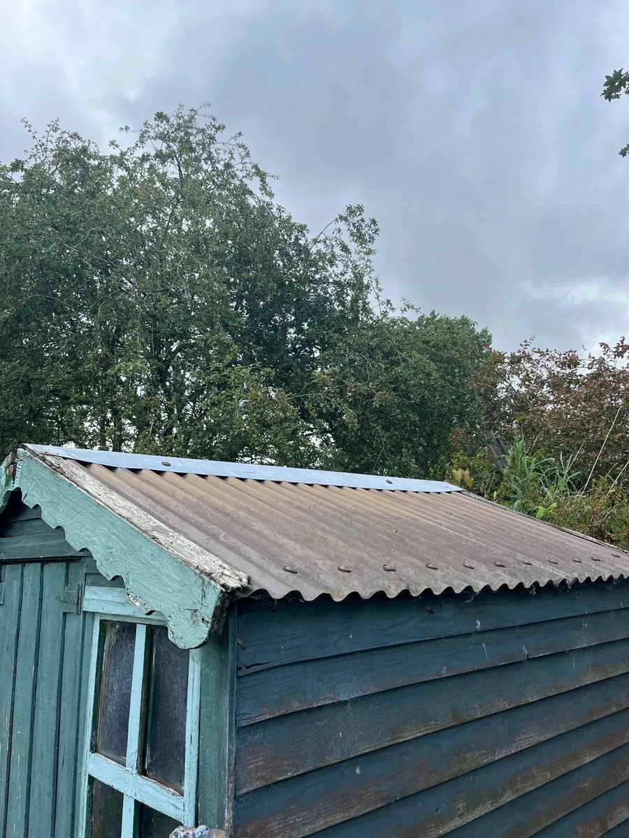 Free Garden shed - Image 4