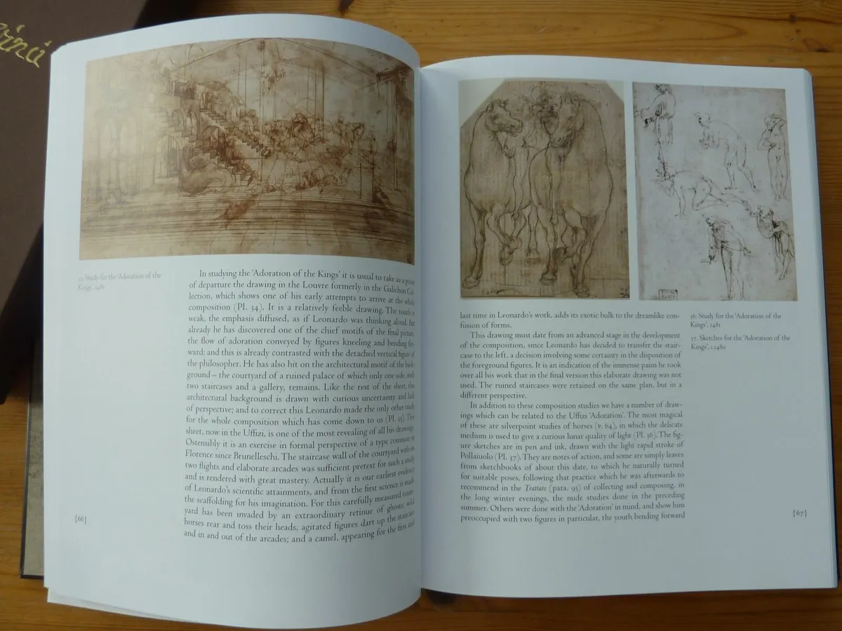 Leonardo da Vinci (book) - Image 4